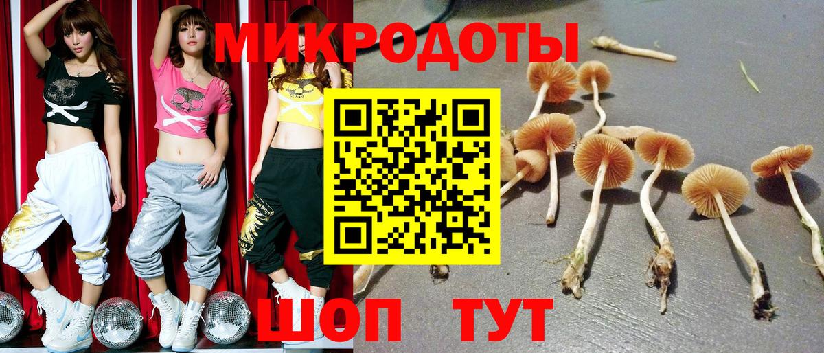 Видное  Псилоцибиновые грибы Psilocybe  Вход с VPN  где купить наркоту  Псилоцибиновые грибы Psilocybe 
